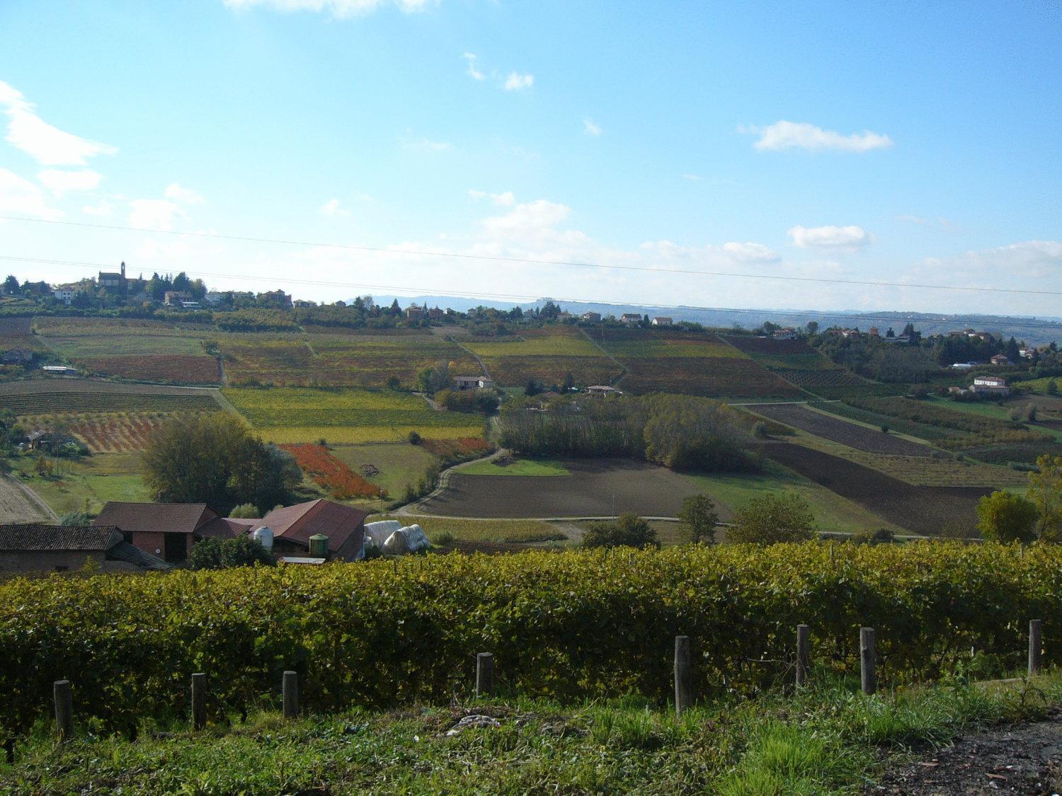Agriturismo Podere La Piazza Costigliole d'Asti Bagian luar foto
